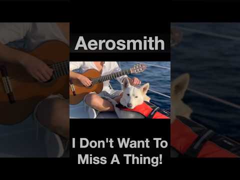 Aerosmith - I Don't Want To Miss A Thing | Acoustic Cover on Classical Fingerstyle Guitar
