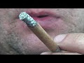 Cigarette ASMR Captain Black Cigarette Smoking