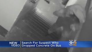 VIDEO: Suspect Sought For Dropping Cinderblock On MTA Bus
