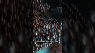 Whats Inside Of A Hard Drive?