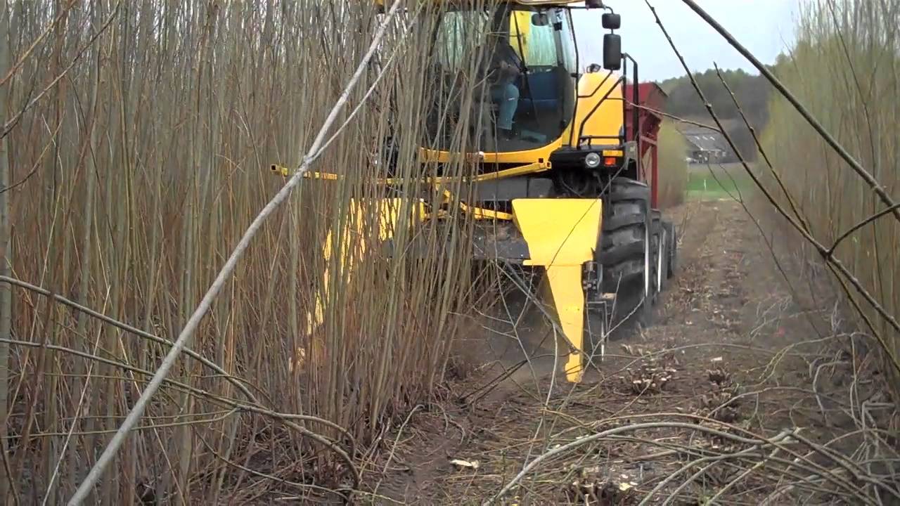 Shrub willow harvesters