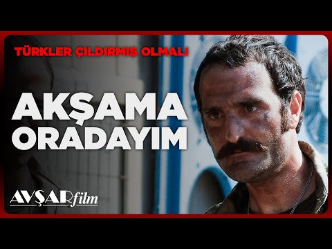 Türkler Çıldırmış Olmalı | En Komik Sahneler 🤣