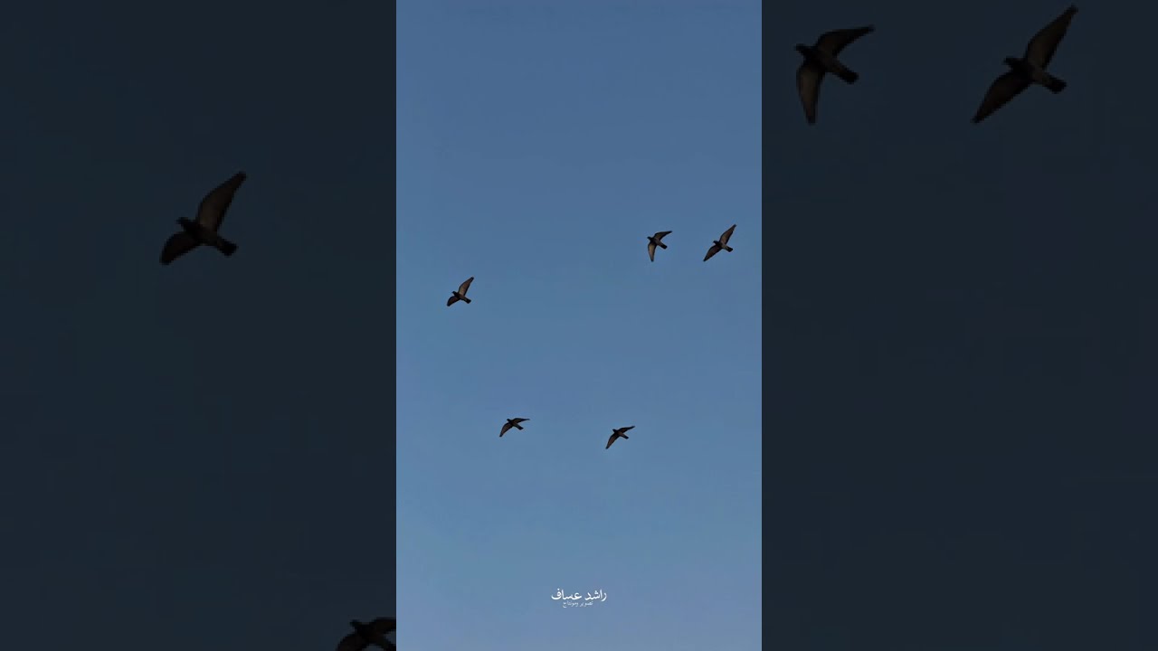 رحلة لقط الفقع في أم رقيبة ١٤٤٧/٨/٢٤هـ