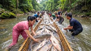 Harvesting a Huge Catch of Giant Fish with an Ancient Bamboo Fishing Technique