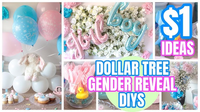 Our Baby Gender Reveal Party! (DIY Party Decor) - Ting and Things