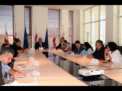 სათათბირო საბჭოს სხდომა ეროვნულ უმცირესობათა საკითხებზე  20 09 2016