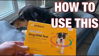 Embark Breed Identification Kit || DNA Test for Dogs