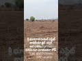 శ్రీ భూమాత రియల్ ఎస్టేట్.Half Acre Land for Sale🔥