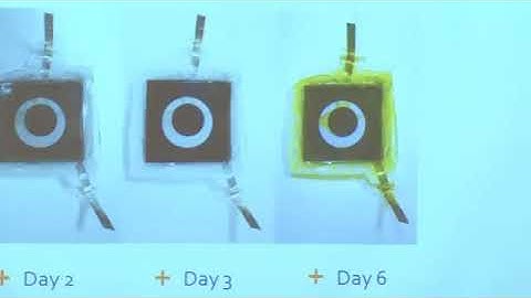 Student Project Presentations   Part 2