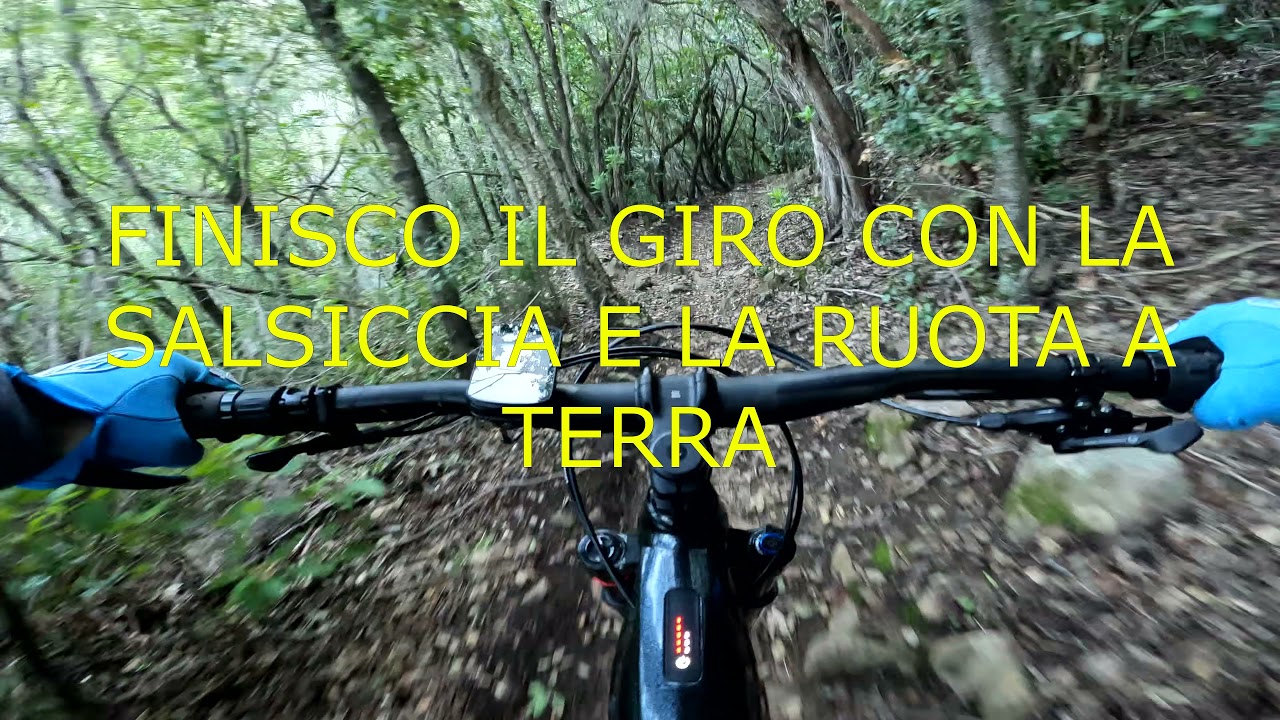 Monte Argentario - VIPERA E PARASSITI - 4k Giant Reign E+2 - YouTube