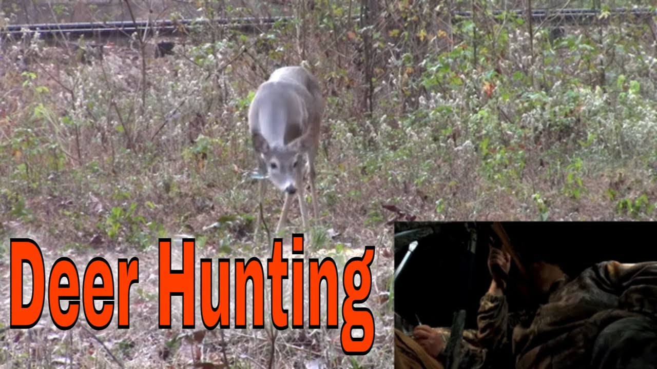 Deer Hunting YouTube