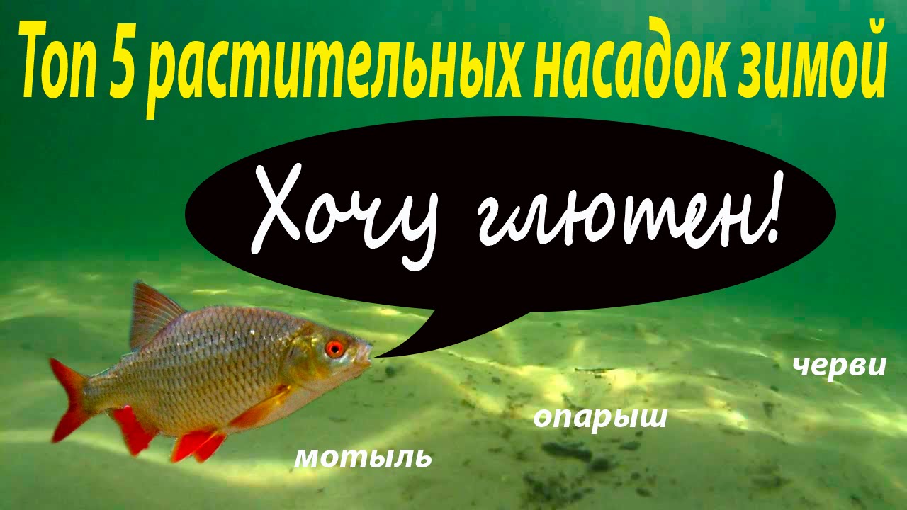 насадка для зимней рыбалки на леща