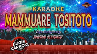 MAMMUARE TOSITOTO KARAOKE NADA CEWEK ~ Cipt. SANDY CHENG ~ LAGU DAERAH BUGIS TANPA VOCAL