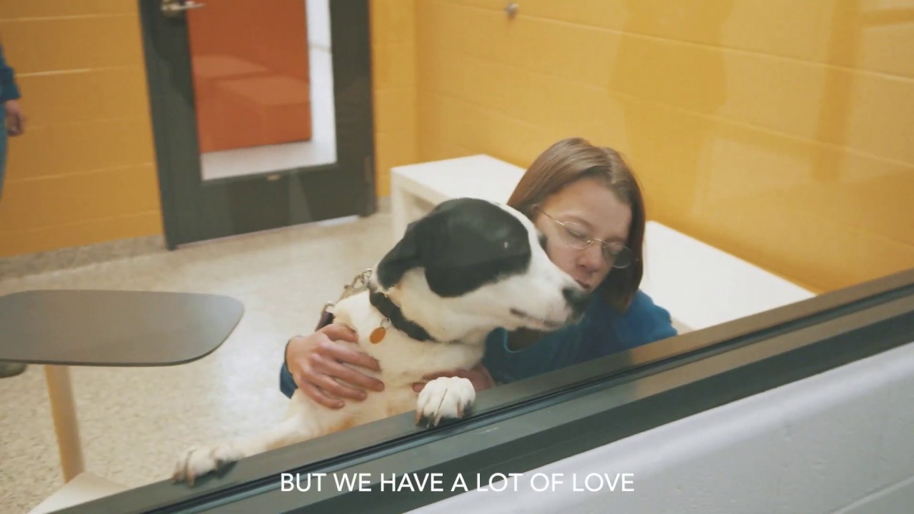 Opening Day of the Kansas City Campus for Animal Care