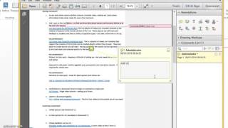 Adobe PDF Written Feedback screenshot 4