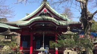 About Inokashira Park