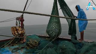 Trawling Boat lot of fish Catch in deep sea | Fish Videos @KadalTv