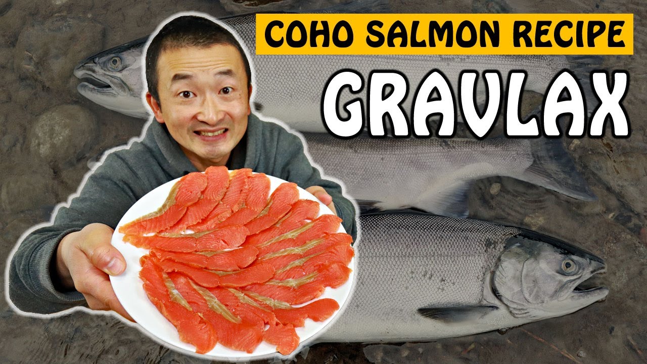 How to make Delicious Gravlax with fresh Coho Salmon | Fishing with Rod