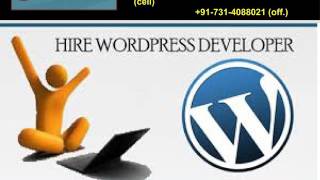 Hire Dedicated Wordpress Developers
