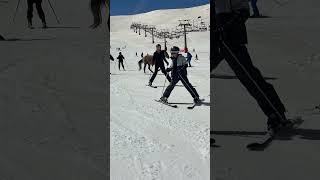 Wild Horses Gallop Across Spanish Ski Slope