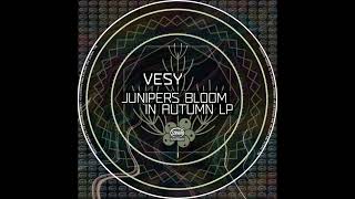 Vesy - Juleps Original Mix Tzha009