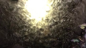 Inanga above 380m culvert fitted with flexi baffles