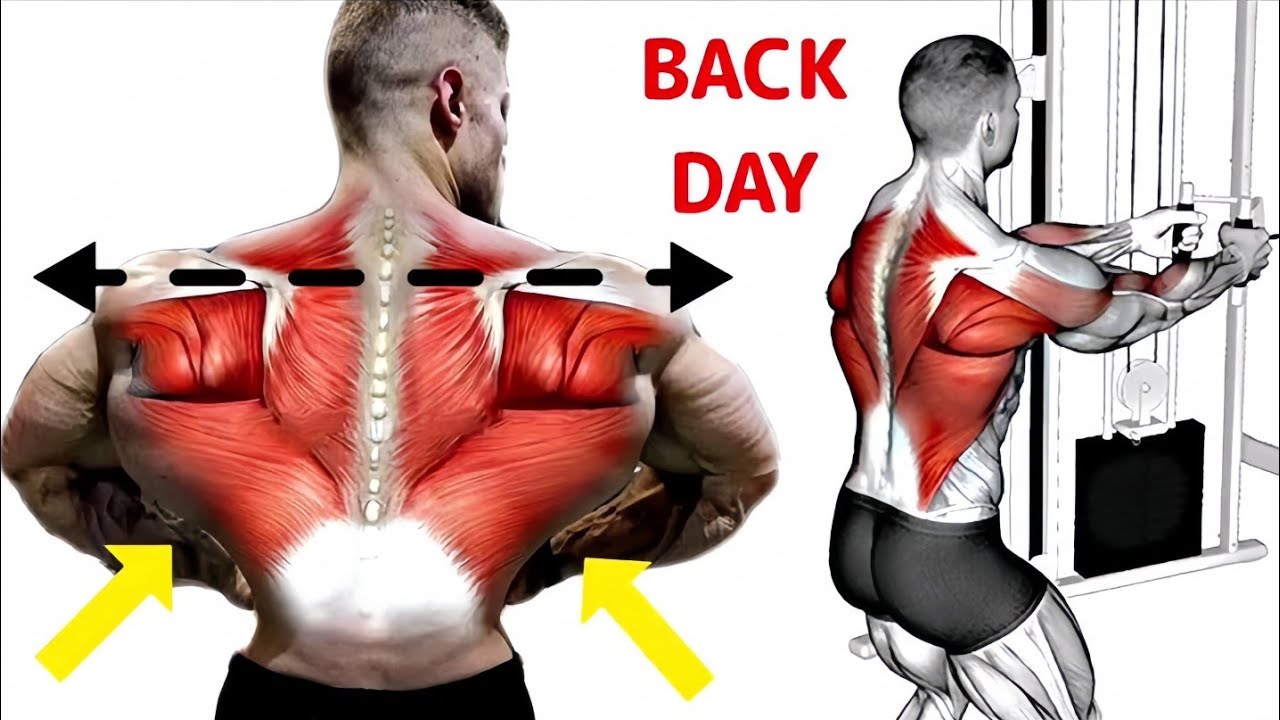 Back Workout At Gym || Lower Back Exercises || Back Workout At Gym For ...