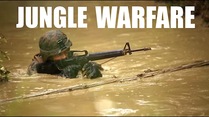 Welcome to the Jungle