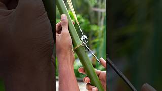 Ingenious Bamboo Mechanism - A Masterpiece Of Minimalist Craft