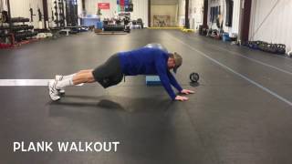 Next Level Plank Progression (Anti-Extension)