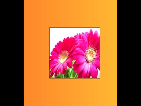 Adding Effects On Image Using HTML&CSS | Image Hover  | إضافه تأثيرات علي الصور بإستخدام CSS3 &HTML%