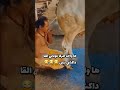 ها واحد المركا عوتاني مغاديش تكمل هوم  اكسبلور المغرب ضحك 