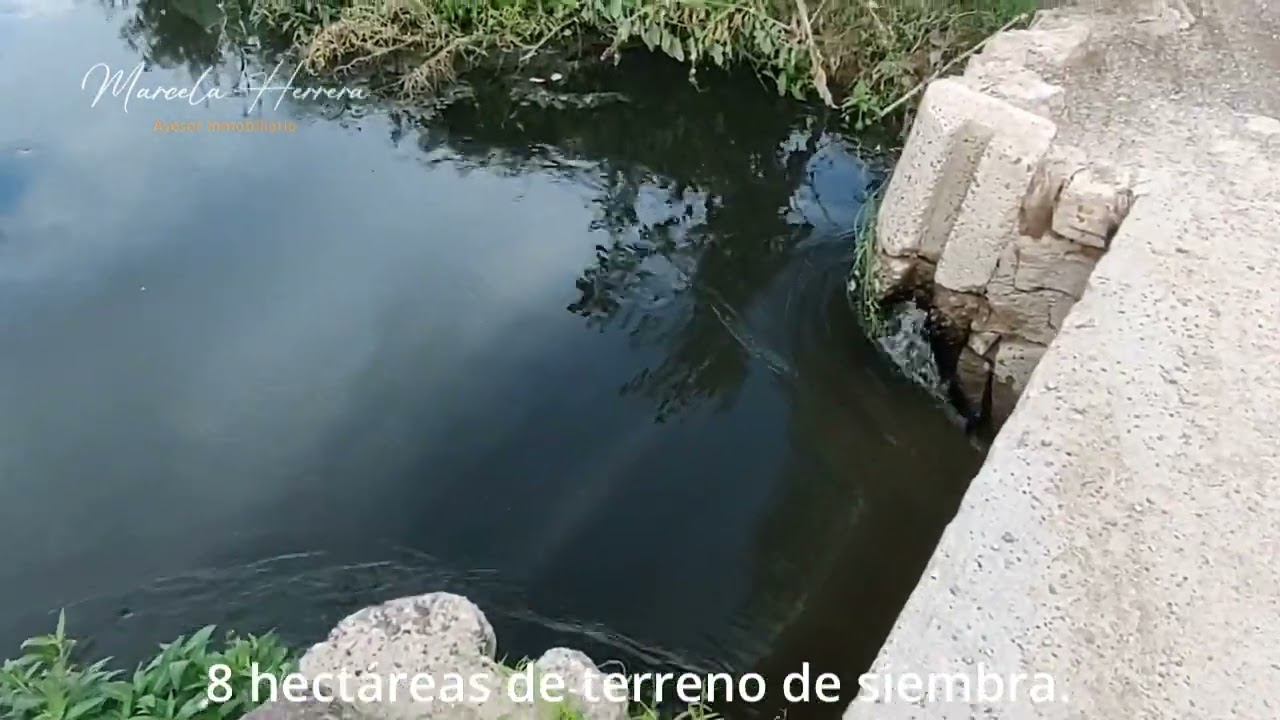 𝐓𝐞𝐫𝐫𝐞𝐧𝐨 𝐞𝐧 𝐯𝐞𝐧𝐭𝐚 | 𝐇𝐞𝐫𝐦𝐨𝐬𝐢𝐥𝐥𝐨 𝐬𝐮𝐫𝐩𝐨𝐧𝐢𝐞𝐧𝐭𝐞 | 𝐕𝐢𝐥𝐥𝐚 𝐝𝐞 𝐒𝐞𝐫𝐢𝐬 | Marcela Herrera Bienes Raíces | Dos31