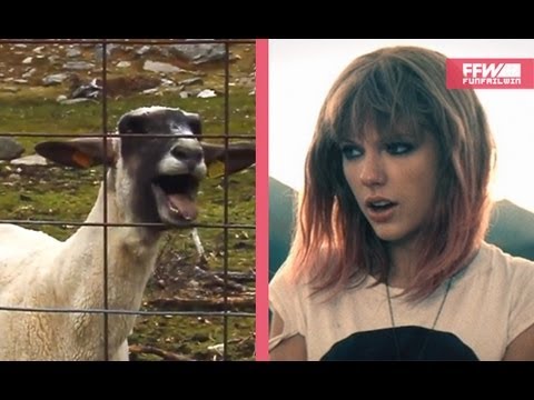 Taylor Swift - I Knew You Were A Goat (Original) || Ffw | Yelling Goat /  Screaming Goat | Know Your Meme