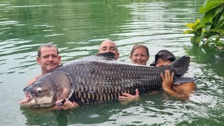 Gillhams Fishery, Thailand - 4 days in paradise. I LANDED THE HUGE ALI HAMIDI ESCAPEE SIAMESE CARP!