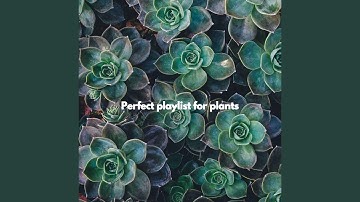 Suave Brave Keynotes