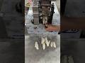 Automatic Dumpling Machine Manufacturer