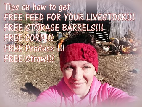 FREE FOOD for your LIVESTOCK!