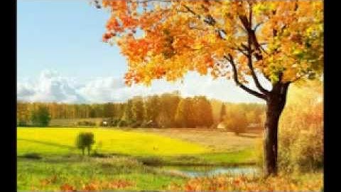 سورة الحجرات بصوت نعمة الحسان
