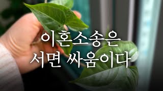 🔆 이혼소송 서면 쓰다가 🌱식물 언박싱하는 브이로그 🔥 빡침주의 #이혼소송 #이혼브이로그 #식물택배 #식집사