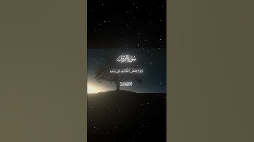 سورة الفرقان|26-27|القارئ:#محمد_اللحيدان #قران#quran #راحة_نفسية #قران_كريم #تلاوة_هادئة#تلاوة_خاشعة