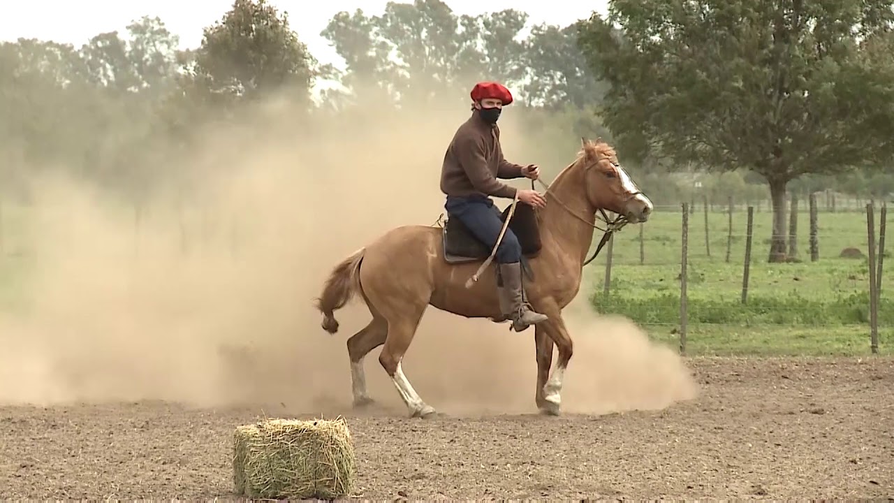 Domador del año Rincón 2020 HORACIO CASIN en CHARQUE CENTELLA
