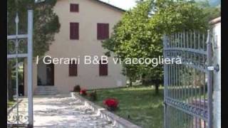 I Gerani - B&B ad Assisi, Umbria