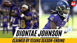 Diontae Johnson Claimed by Texans After Tank Dell's Season-Ending Injury