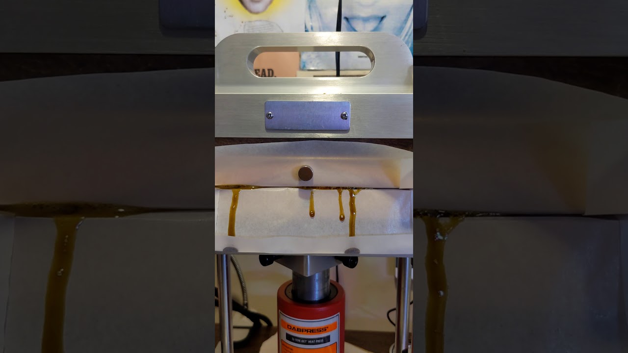 A time lapse 10x speed of a 14g rosin press.  2 minutes in 12 seconds.