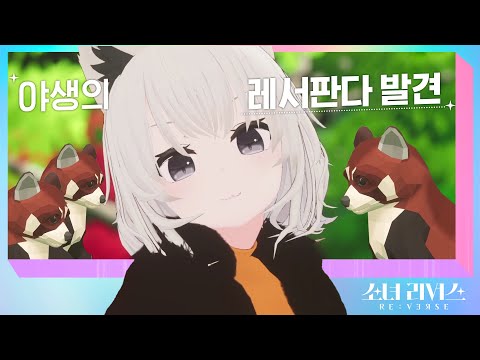 [ENG/JP] ※주의※ 다소 사납습니다 - 크앙 (KEUANG)ㅣ걸그룹 멤버들의 버추얼 아이돌 데뷔 서바이벌 [소녀 리버스] 자기소개