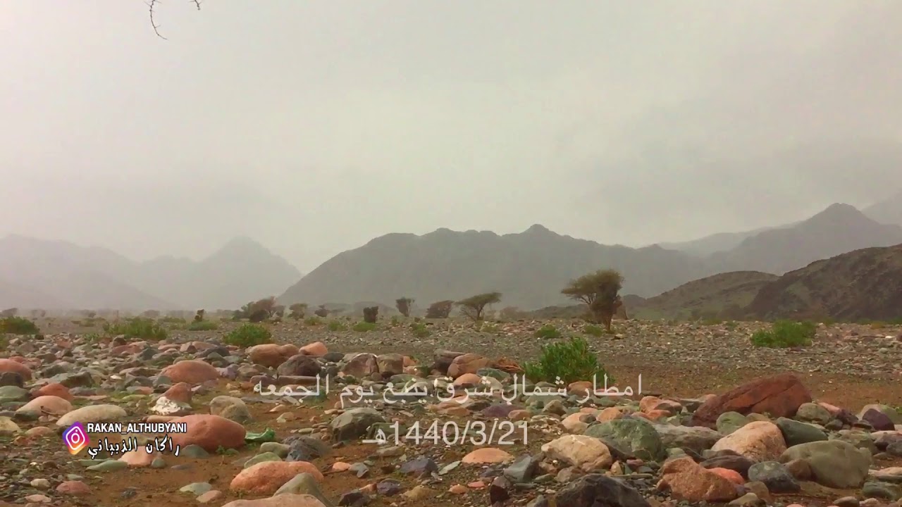 امطار|شرق ينبع|عباثر|بواط|1440