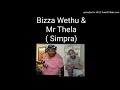 Bizza Wethu & MR Thela-Sulila