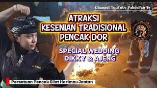 Atraksi kesenian Tradisional Pencak Dor 
