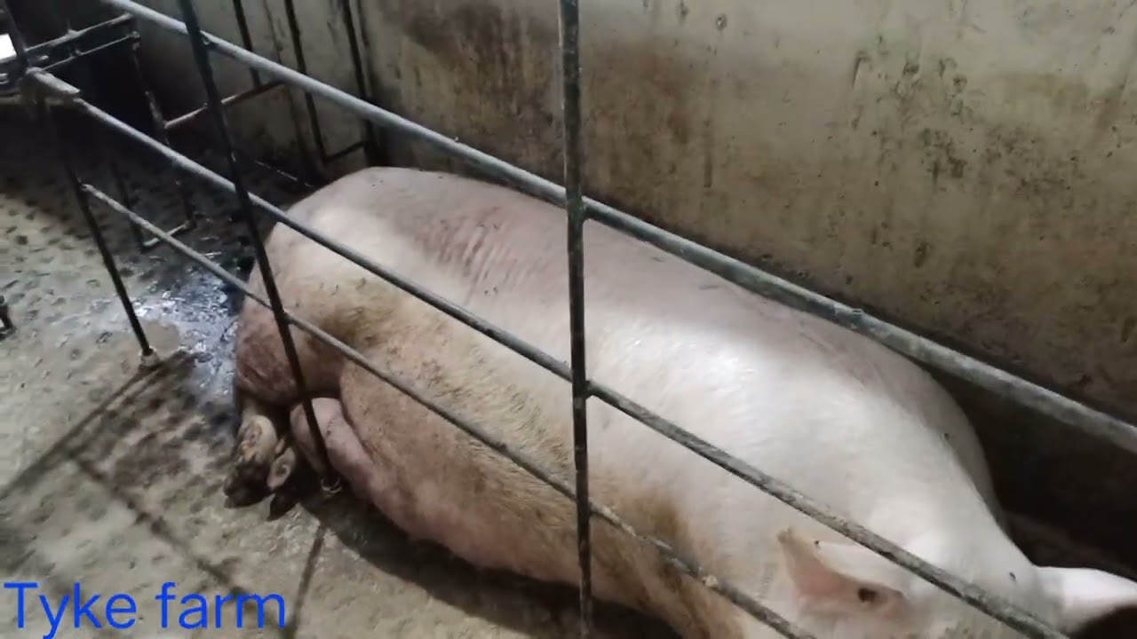 Краткое обновление